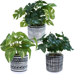 winlyn 3 pcs small artificial potted tropical plants faux monstera ivy pothos in black geometric pots for gifts hawaiian tropical luau party table shelf office indoor outdoor decor