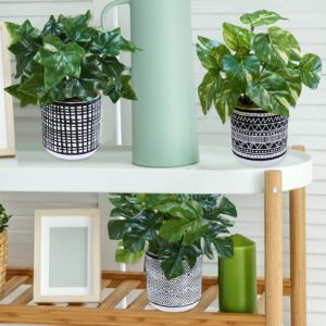 Winlyn 3 Pcs Small Artificial Potted Tropical Plants Faux Monstera Ivy Pothos in Black Geometric Pots for Gifts Hawaiian Tropical Luau Party Table Shelf Office Indoor Outdoor Decor