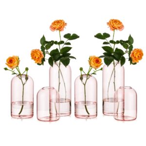 glasseam bud vase set of 6, cute pink flower vase decor, decorative small vases for flowers, unique flower vases for centerpieces, modern cylinder vases for wedding dining table decorations