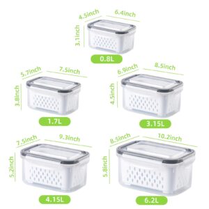 5-Pack Fruit Storage Containers for Fridge with 5pcs Sealing Clips, Fridge Organizers And Storage Clear Refrigerator Organizer Bins for Vegetable Berry Lettuce, BPA-Free Dishwasher & Microwave Safe