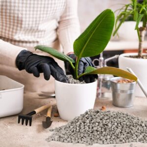 Sukh Horticultural Pumice Stone - Pumice Stone for Plants Succulent Cactus Bonsai Orchid Soil Amendment 410g