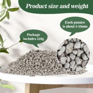 Sukh Horticultural Pumice Stone - Pumice Stone for Plants Succulent Cactus Bonsai Orchid Soil Amendment 410g