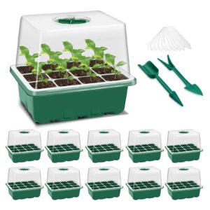 maylaviu seed starter tray, 10 pack seed starter kit with adjustable humidity dome, higher cover green propagation tray, seedling starter trays mini greenhouse indoor for gardens (120 cells)