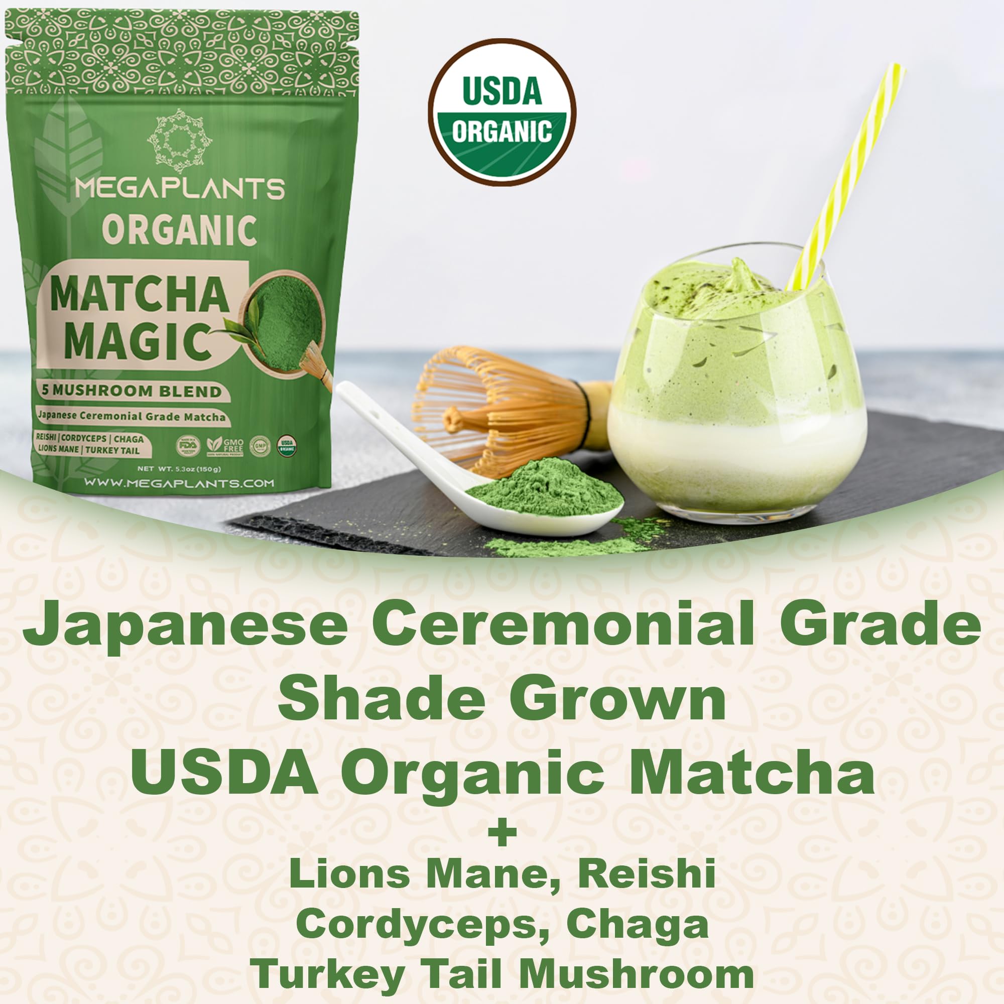 MEGAPLANTS Matcha Magic (50 Servings) | Superfood 5 Mushroom Powder Blend for Focus, Clarity & Energy | USDA Organic | Japanese Ceremonial Grade Matcha | Shade Grown