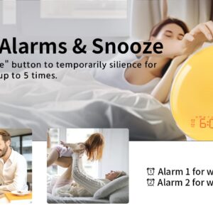 MOMILLA Sunrise Alarm Clock, Wake-up Light Compatible with Alexa, Dual Alarms with FM Radio, Snooze Function for Heavy Sleepers, Adults&Kids- Alarm Clock Standard Version