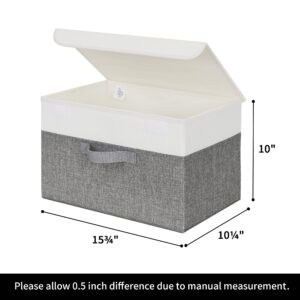 GRANNY SAYS Bundle of 2-Pack Large Storage Bins with Lids & 2-Pack Closet Storage Boxes for Organizing