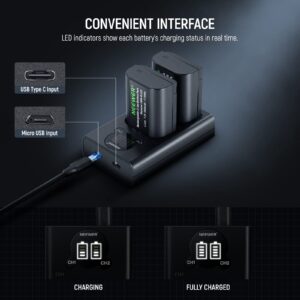 NEEWER DMW-BLK22 Replacement Battery and Charger Set, 2 Pack 2400mAh Batteries and Type C Dual Channel USB Charger, Compatible with Panasonic Lumix DC-S5 DC-S5 II DC-S5 IIX GH5 II GH6 S5II S5M2 GH5M2