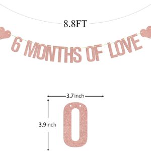 6 Months of Love Banner, Half Way to One Banner, Happy 6 Month, Half Birthday Decorations, 1/2 Birthday Baby Shower Party, First Birthday Party Supplies Rose Gold Glitter