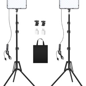 2 Pack Photography Video Lighting Kit, LED Video Light with 62'' Tripod Stand, Tinpops 2500-8500K Studio Streaming Lighting for Video Recording Live Game Podcast YouTube Portrait Photo Shooting