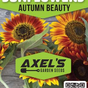 Sunflower Seeds for Planting - Plant & Grow Autumn Beauty Sunflower Mix in Your Home Outdoor Garden - 25 Non GMO Heirloom Seeds - Full Planting Packet with Instructions, 1 Packet
