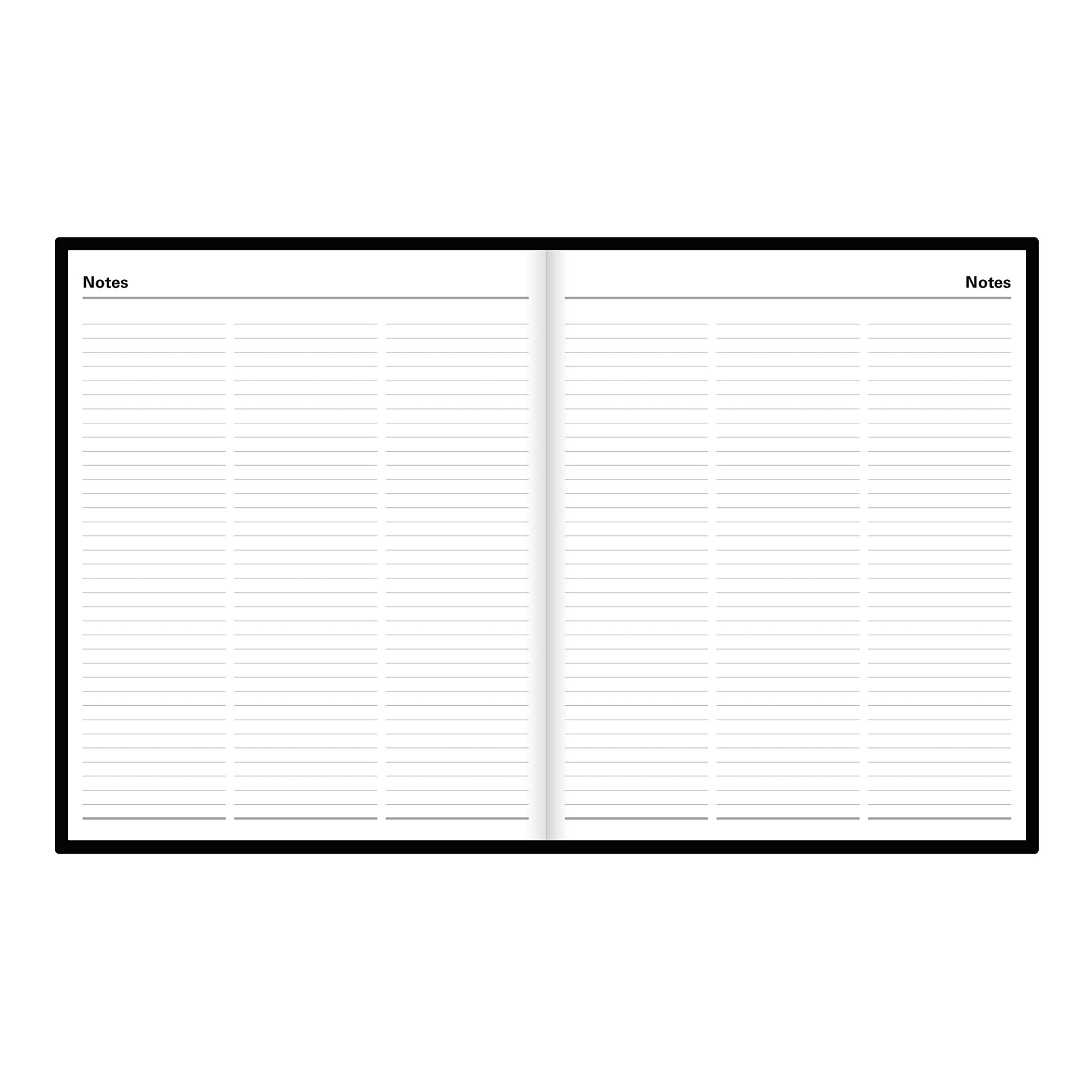 Letts of London Standard Daily Planner, 12 Months, January to December, 2024, Day-Per-Page, Quarto Size, 10.25" x 8.25", Black (C10YBK-24)