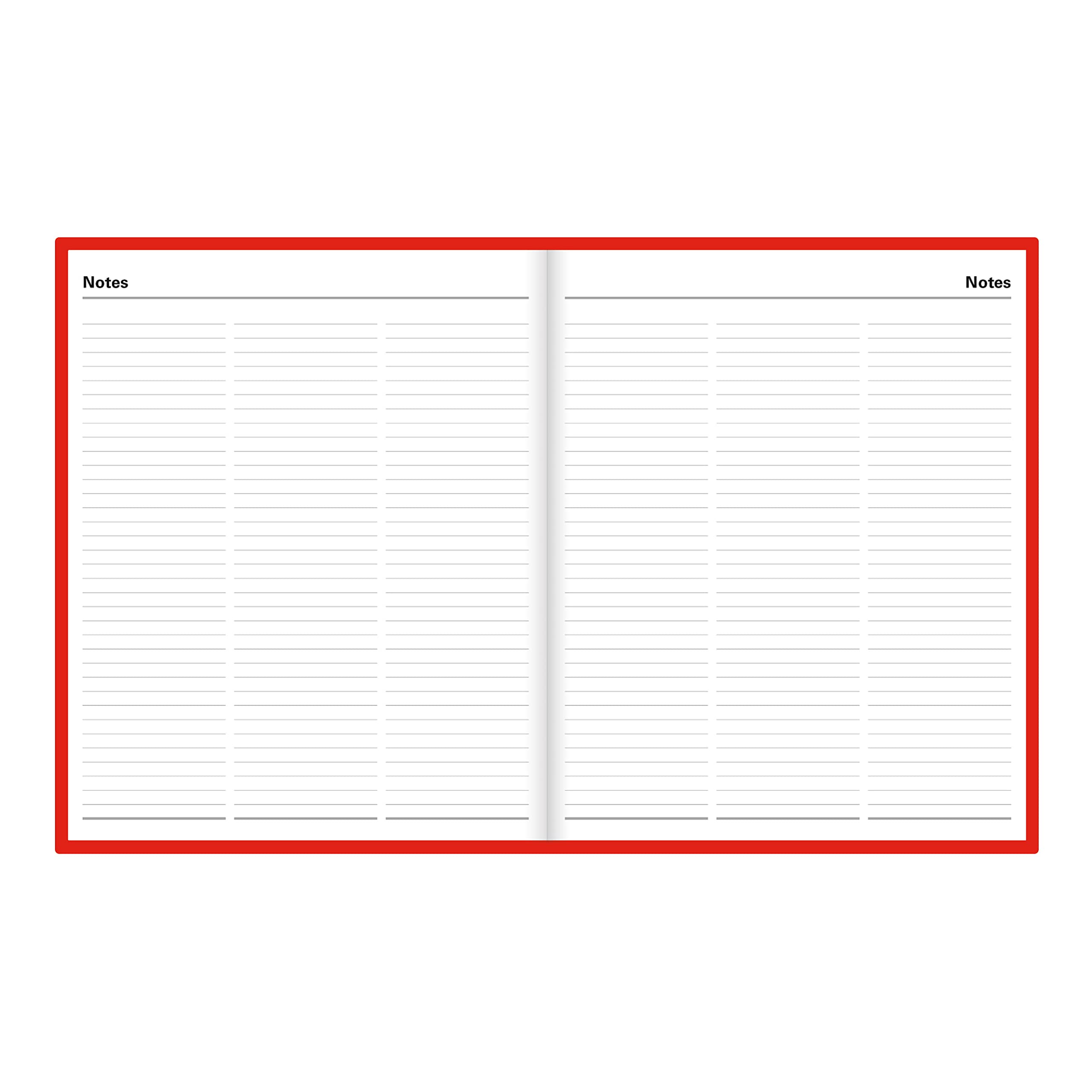 Letts of London Standard Daily Planner, 12 Months, January to December, 2024, Day-Per-Page, Quarto Size, 10.25" x 8.25", Burgundy (C10YBY-24)