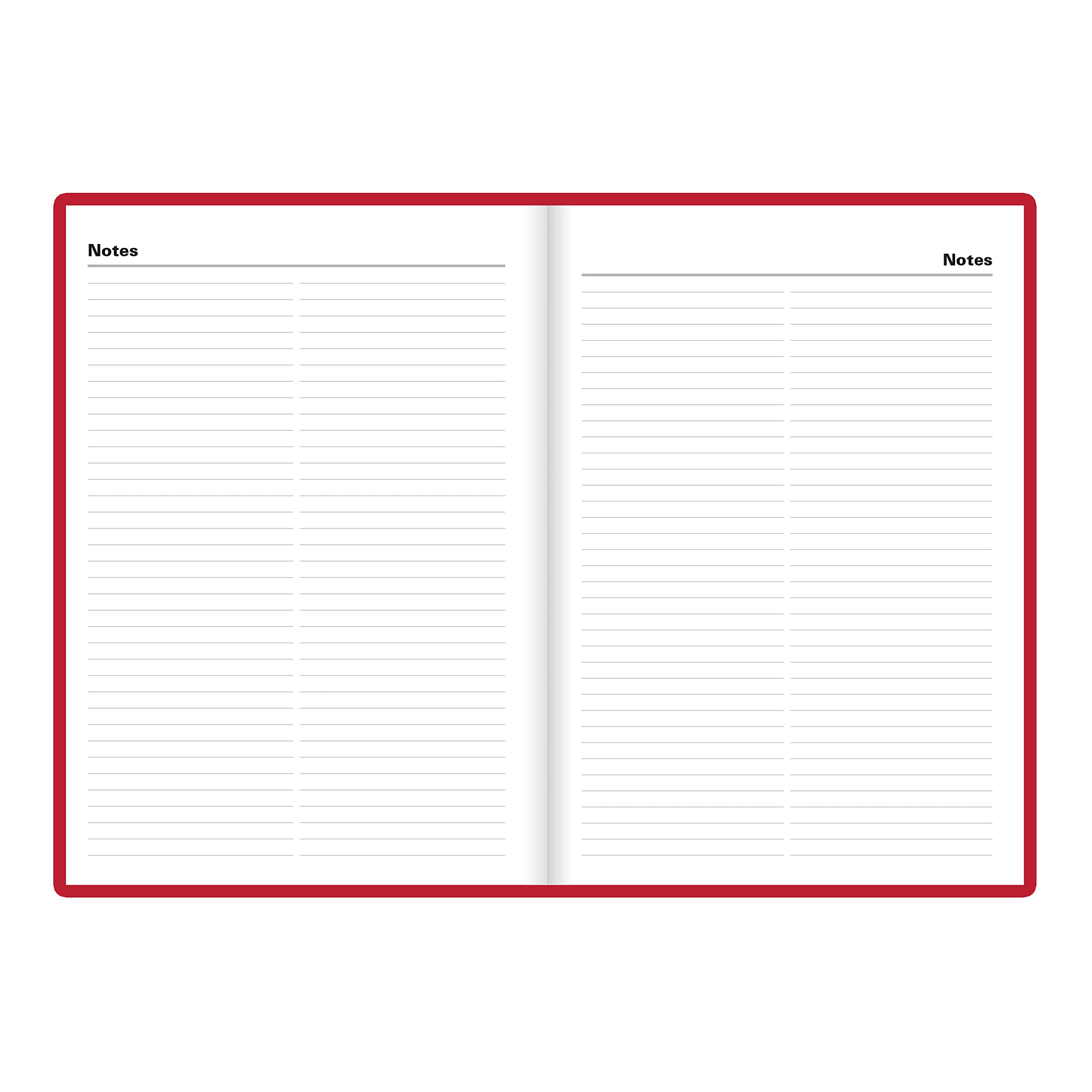 Letts of London Standard Daily Planner, 12 Months, January to December, 2024, Day-Per-Page, A5 Size, 8.25" x 5.875", Burgundy (C10XBY-24)