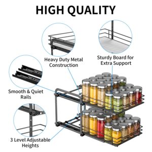 RCHYFEED Spice Rack Organizer for Cabinet, 2 Tier Pull Out Spice Racks for Inside Cabinets & Pantry Closet, Height Adjustable Heavy Duty Metal Basket for Seasoning Organizer, Vertical Spice Shelf