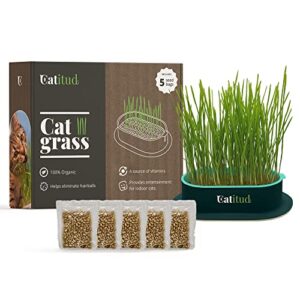 catitud | cat grass growing kit with 5 packets hydroponic seeds | cat grass kit includes pot with non-slip base | cat grass for indoor cats with planter, best gift for cats