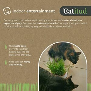 CATITUD | Cat Grass Growing Kit with 5 Packets HYDROPONIC Seeds | Cat Grass Kit Includes Pot with Non-Slip Base | Cat Grass for Indoor Cats with Planter, Best Gift for Cats