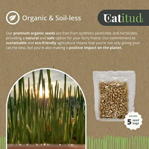 CATITUD | Cat Grass Growing Kit with 5 Packets HYDROPONIC Seeds | Cat Grass Kit Includes Pot with Non-Slip Base | Cat Grass for Indoor Cats with Planter, Best Gift for Cats
