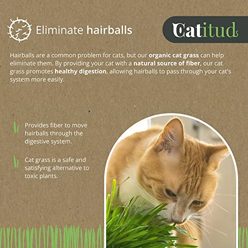 CATITUD | Cat Grass Growing Kit with 5 Packets HYDROPONIC Seeds | Cat Grass Kit Includes Pot with Non-Slip Base | Cat Grass for Indoor Cats with Planter, Best Gift for Cats