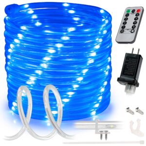 wyzworks 10ft blue led outside rope light - 8 modes, waterproof permanent outdoor accent lighting w/remote, flexible clear tube, etl certified, exterior christmas patio palm tree yard ambient