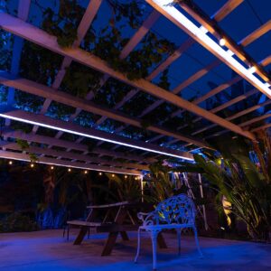 WYZworks 10ft Blue LED Outside Rope Light - 8 Modes, Waterproof Permanent Outdoor Accent Lighting w/Remote, Flexible Clear Tube, ETL Certified, Exterior Christmas Patio Palm Tree Yard Ambient