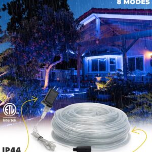 WYZworks 10ft Blue LED Outside Rope Light - 8 Modes, Waterproof Permanent Outdoor Accent Lighting w/Remote, Flexible Clear Tube, ETL Certified, Exterior Christmas Patio Palm Tree Yard Ambient