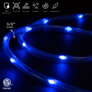 WYZworks 10ft Blue LED Outside Rope Light - 8 Modes, Waterproof Permanent Outdoor Accent Lighting w/Remote, Flexible Clear Tube, ETL Certified, Exterior Christmas Patio Palm Tree Yard Ambient