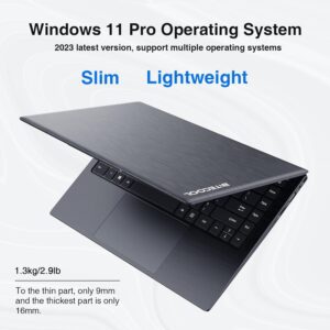 BiTECOOL Laptop Computer, 12GB RAM 256GB NVMe SSD, Intel N5095 Quad Core (up to 2.9GHz), 14-inch FHD IPS Display, Windows 11 Laptop, 2.4G/5G WiFi, BT4.2, Type C, Lightweight and Portable