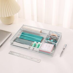 YFEEN Office Desk Drawer Organizer Tray, 5 Grid Mesh Utensil Drawer Organizer for Kitchen Drawer Silverware Tray& 1 piece of Plastic Drawer Organizer Kitchen Drawer Multi-use Storage Box,White