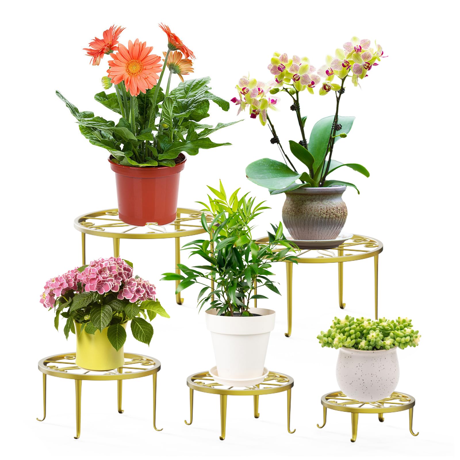 5 Pack Metal Plant Stand for Outdoor Indoor Plants, Heavy Duty Flower Pot Stands Outdoor for Multiple Plant, Rustproof Iron Round Plant Shelf for Planter, Potted Plant Holder for Patio, Lawn & Garden