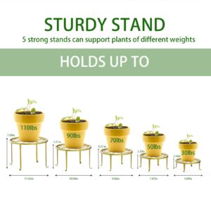 5 Pack Metal Plant Stand for Outdoor Indoor Plants, Heavy Duty Flower Pot Stands Outdoor for Multiple Plant, Rustproof Iron Round Plant Shelf for Planter, Potted Plant Holder for Patio, Lawn & Garden