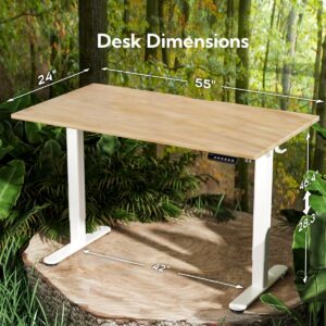 INNOVAR Solid Wood Electric Standing Desk, 55x24 Inches Adjustable Height Stand up Desk with Whole Piece Desktop, Sit Stand Home Office Desk White Frame/Nature Top