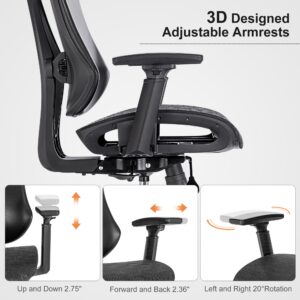 BV Ergonomic Dual Backrests Office Chair, Lumbar Support Office Desk Chair Back Support, Breathable mesh Office Chair 3D Adjustable Armrest(5008 Black)