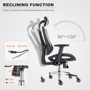 BV Ergonomic Dual Backrests Office Chair, Lumbar Support Office Desk Chair Back Support, Breathable mesh Office Chair 3D Adjustable Armrest(5008 Black)