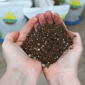 Plant Propagation Potting Mix (8 Quarts); Ideal Starter Mix for Rooting Plant Cuttings