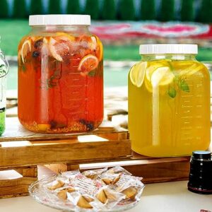 2 Pack Wide Mouth 1 Gallon Clear Glass Jar with Lid, Heavy Duty Airtight Screw Lid with Silicone Gasket - Large Mason Jar with 2 Scale Mark for Fermenting Kombucha and Storing Food(Extra 2 Gaskets)