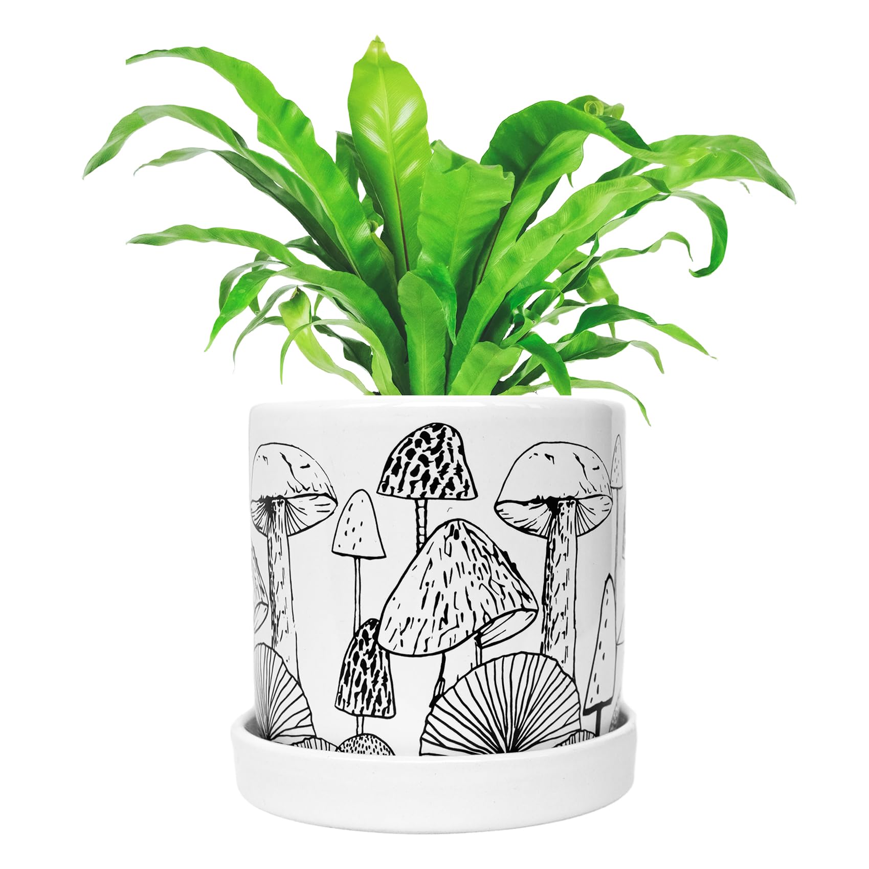 QGWJEKUI Mushroom Decor Planter Pot with Drainage Hole & Removable Draining Tray,Handmade Pots for Plants Flowers Indoor,Unique Ceramic Planter,Cute Succulent Pots,Aesthetic Modern Boho Gifts