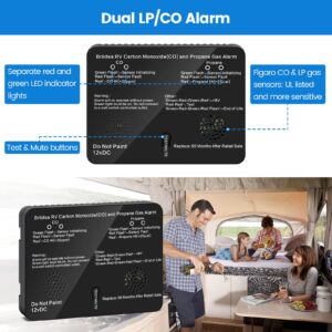 RV Carbon Monoxide & Propane Gas Alarm, Briidea Dual LP/CO Alarm with Separate LED Indicator Light, 100dB Loud Alarm, Provide You with Early Warning to Ensure Safety, 12 VDC