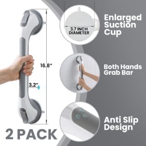 TAILI Shower Grab Bar 2 Pack Suction Grab Bars for Bathtubs and Showers, Heavy Duty Shower Handle Removable Shower Handrails for Seniors and Elderly, Bathroom Safety Grip No Drilling Waterproof, Grey