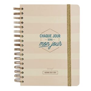 mr.wonderful wonder 2023-2024 daily diary pink - every day will be my day