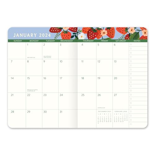 Orange Circle Studio Planner 2024, Weekly & Monthly Calendar, To Do List Notepad, Appointment Book, Budget & Goal Tracker, Small Pocket 17-Month Agenda for School/Work, Fruit & Flora