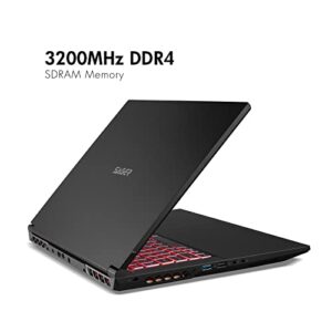 Sager 2023 NP6271C Gaming Laptop, 17.3 Inch FHD 144Hz, Intel i9-13900H, RTX 4050 6GB, 64GB RAM, 2TB Gen4 NVMe SSD, Win 11