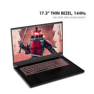 Sager 2023 NP6271C Gaming Laptop, 17.3 Inch FHD 144Hz, Intel i9-13900H, RTX 4050 6GB, 64GB RAM, 2TB Gen4 NVMe SSD, Win 11