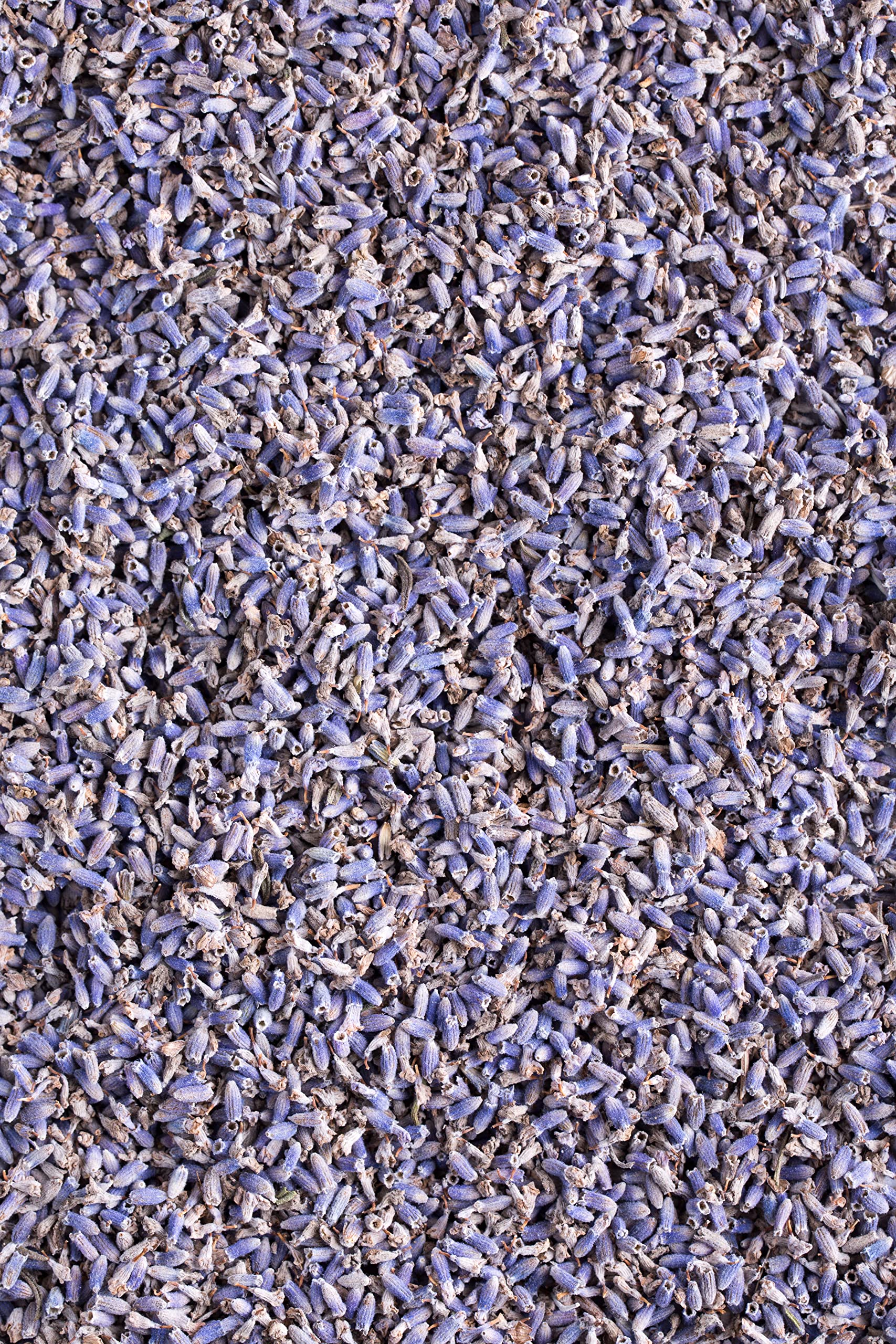 Organic Lavender Tea | 100% Certified Organic | Food Grade Dried Lavender Flowers | Perfect for Tea, Baking, Lemonade, DIY Beauty, Sachets & Fresh Fragrance | 100% Raw Albanian Harvest | Large 4oz