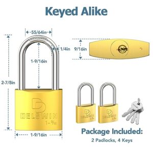 DELSWIN Brass Padlock with Same Keys - Heavy Duty Solid Brass Locker Lock with 1-4/5 in. Long Shackle, Marine Grade Pad Lock for Outdoor Gate, Fence, Shed (2 Locks with 4 Keys)