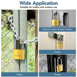 DELSWIN Brass Padlock with Same Keys - Heavy Duty Solid Brass Locker Lock with 1-4/5 in. Long Shackle, Marine Grade Pad Lock for Outdoor Gate, Fence, Shed (2 Locks with 4 Keys)