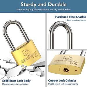 DELSWIN Brass Padlock with Same Keys - Heavy Duty Solid Brass Locker Lock with 1-4/5 in. Long Shackle, Marine Grade Pad Lock for Outdoor Gate, Fence, Shed (2 Locks with 4 Keys)