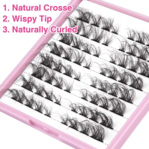 Lashes Clusters Wispy Natural Cluster Lashes 64pcs Individual Lashes Extensions 14-18MM Fluffy Cat Eye DIY Eyelash Extensions by Ruairie