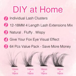 Lashes Clusters Wispy Natural Cluster Lashes 64pcs Individual Lashes Extensions 14-18MM Fluffy Cat Eye DIY Eyelash Extensions by Ruairie