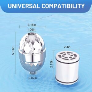 OCEMY 20 Stage Shower Filter Shower Head Filter with 2 Replaceable Cartridges High Output Shower Water Filter for Hard Water Removing Chlorine Fluoride Heavy Metals，Polished Chrome