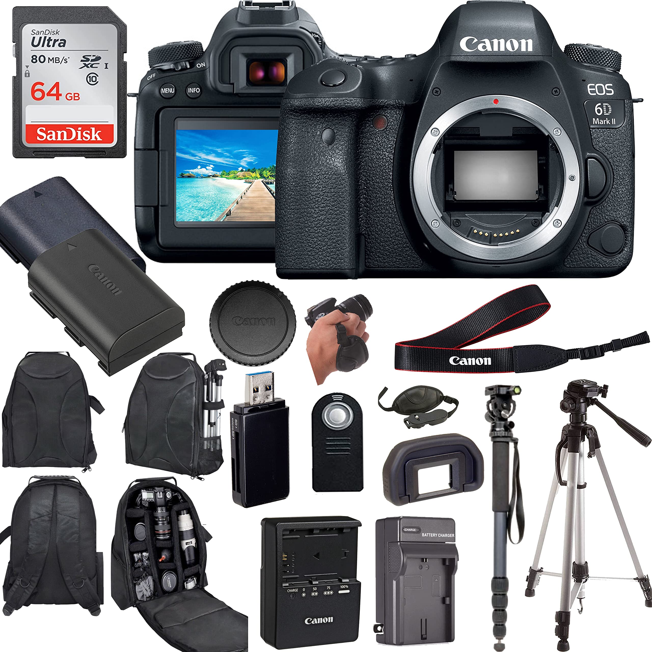 Canon EOS 6D Mark II Digital SLR Camera (Body Only) Enhanced with Professional Accessory Bundle - Includes 14 Items